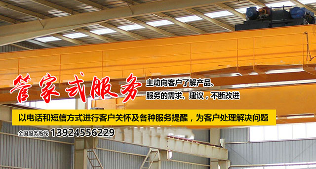 广东顺德台鑫重型起重设备有限公司 